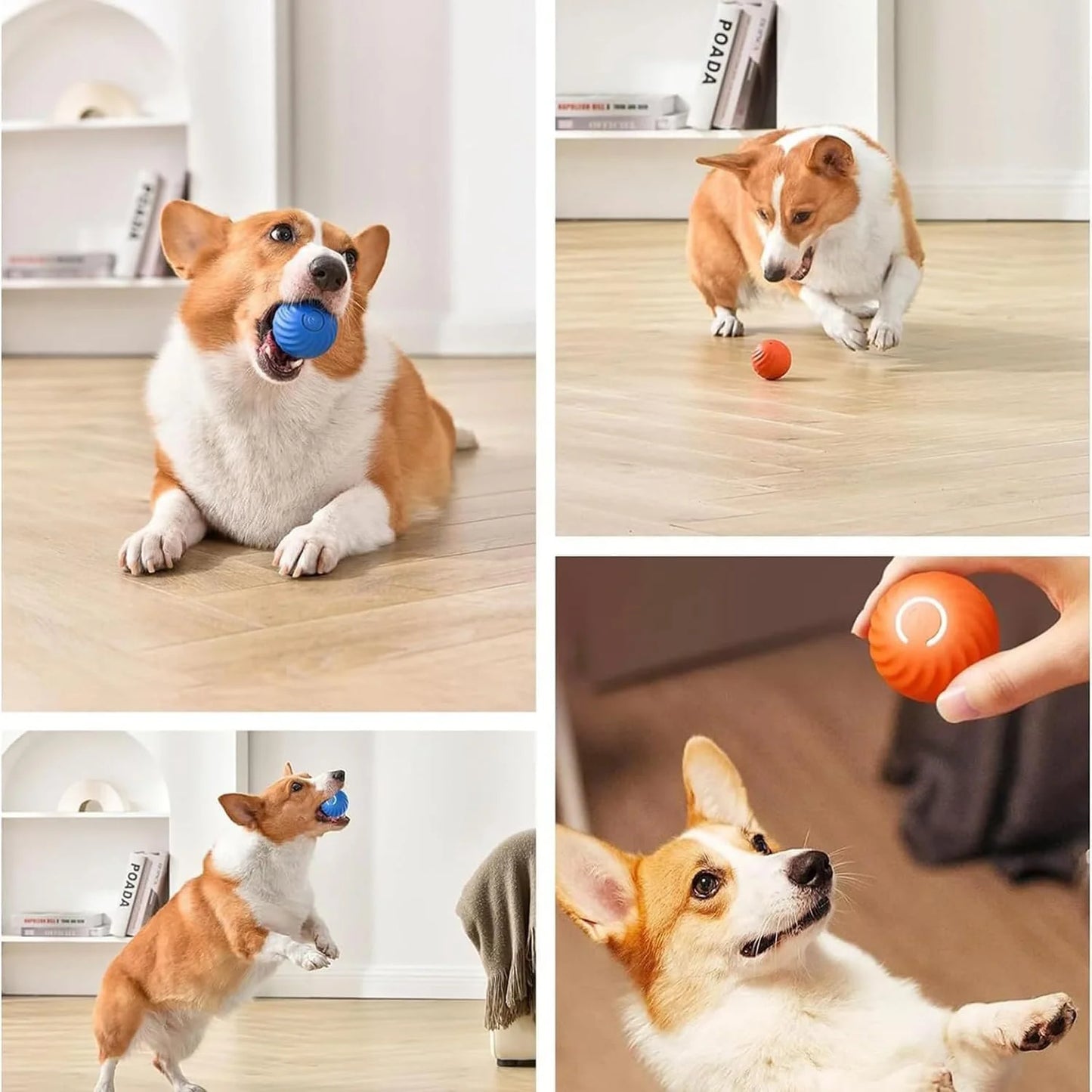 Furbounce™ | Voorkom Verveling en Schade Aan Meubels