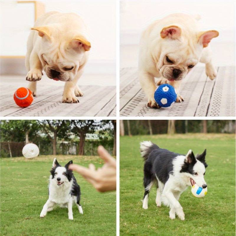 BiteBlitz™ | kauwspeeltje voor honden