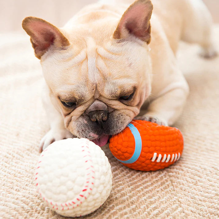 BiteBlitz™ | kauwspeeltje voor honden