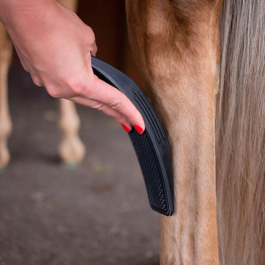 HaloHorse™ | 6-In-1 Paardenborstel
