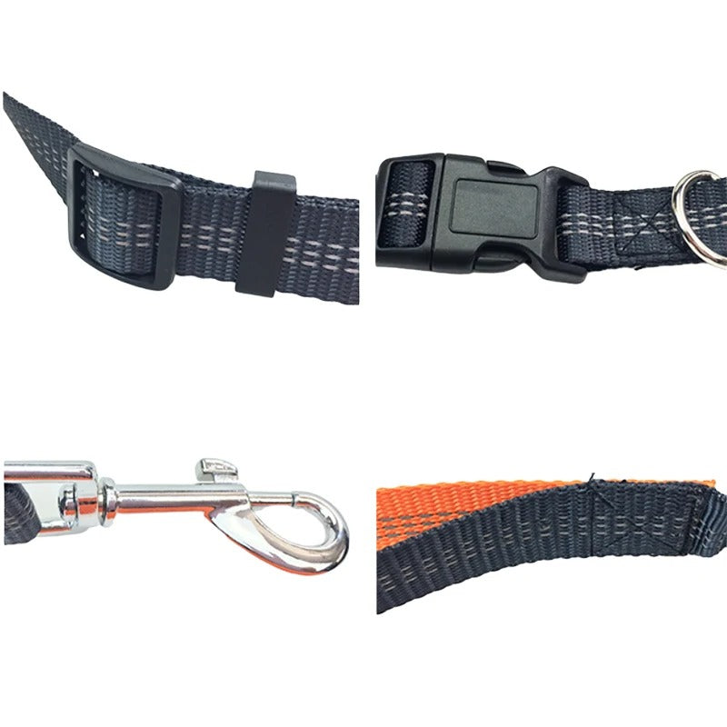 PawStrap™ | Hondenriem met veilige grip en schokdemping