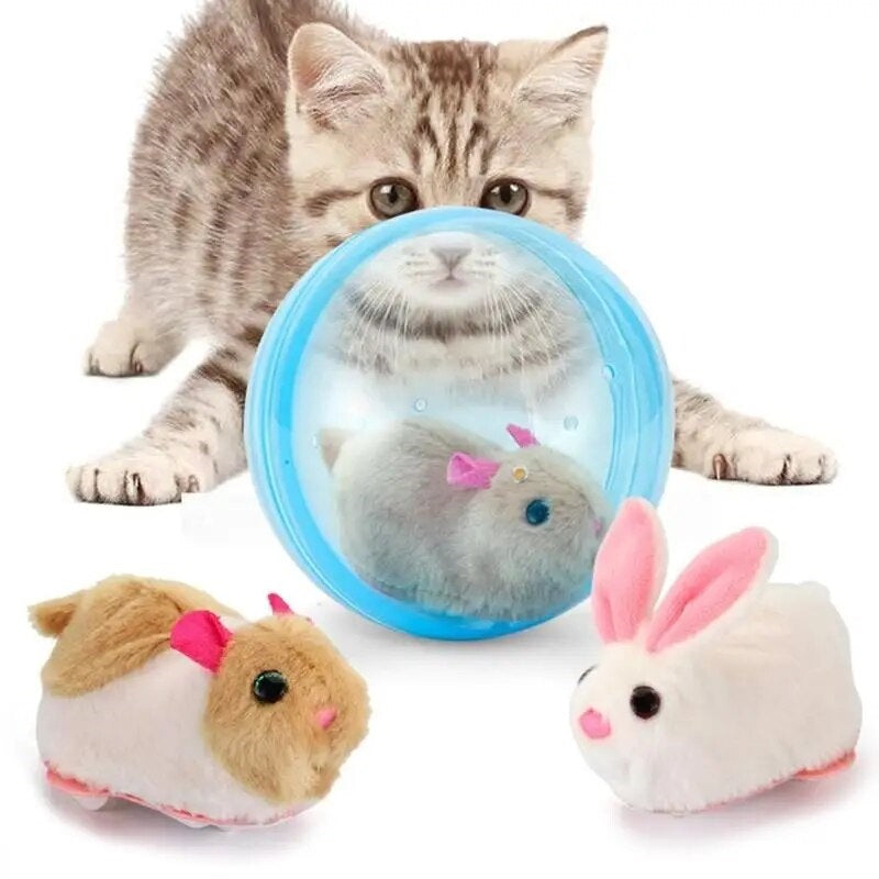 ZoomZing™ | Interactieve bal voor huisdieren