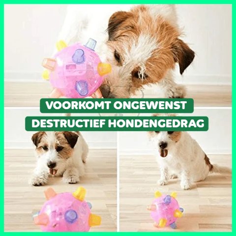JumpJoy™ | Springende Hondenbal