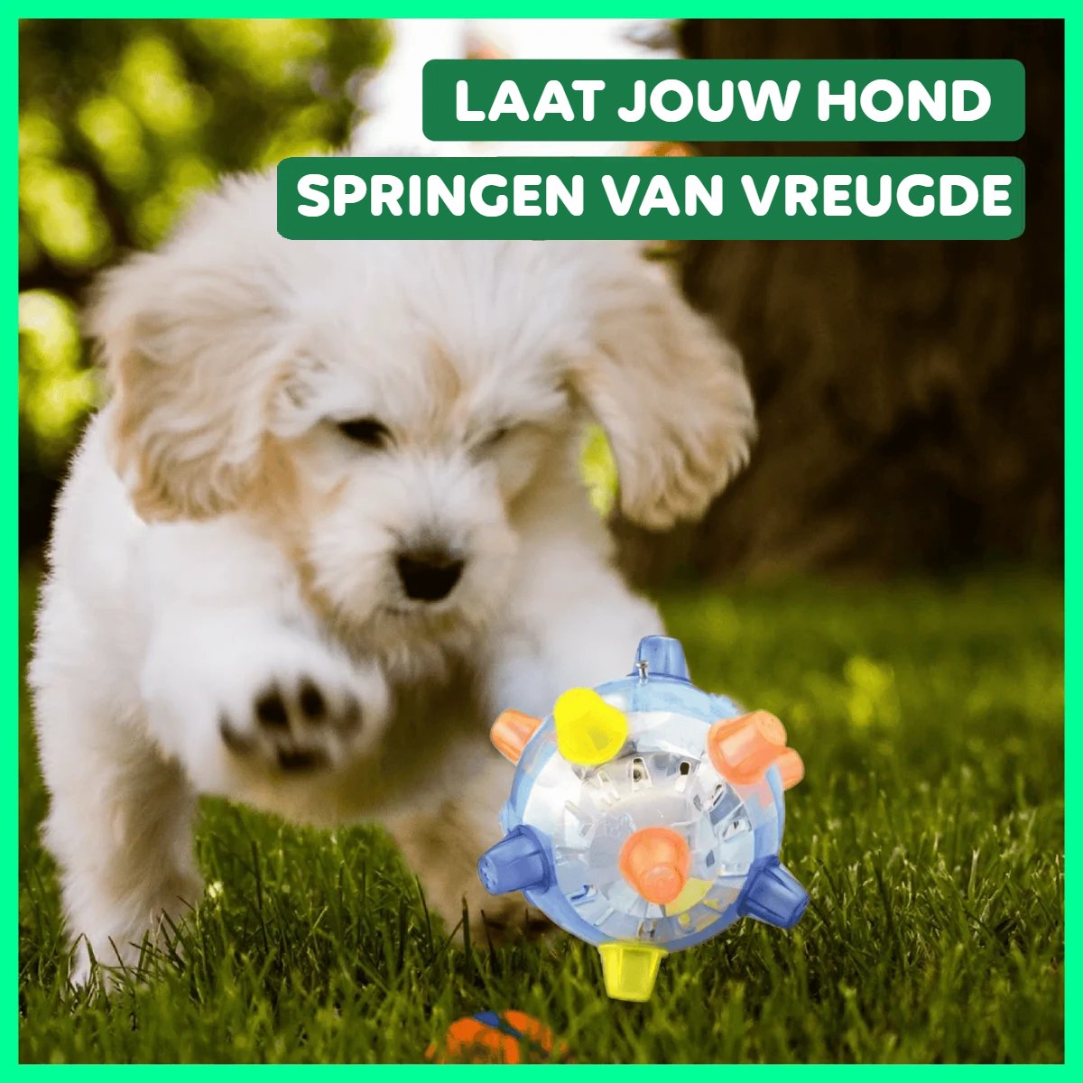 JumpJoy™ | Springende Hondenbal