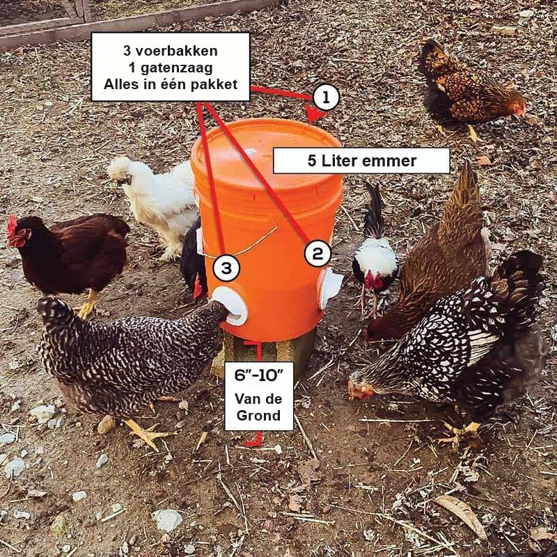 ChickenFeeder™ | De Ultieme Voederoplossing