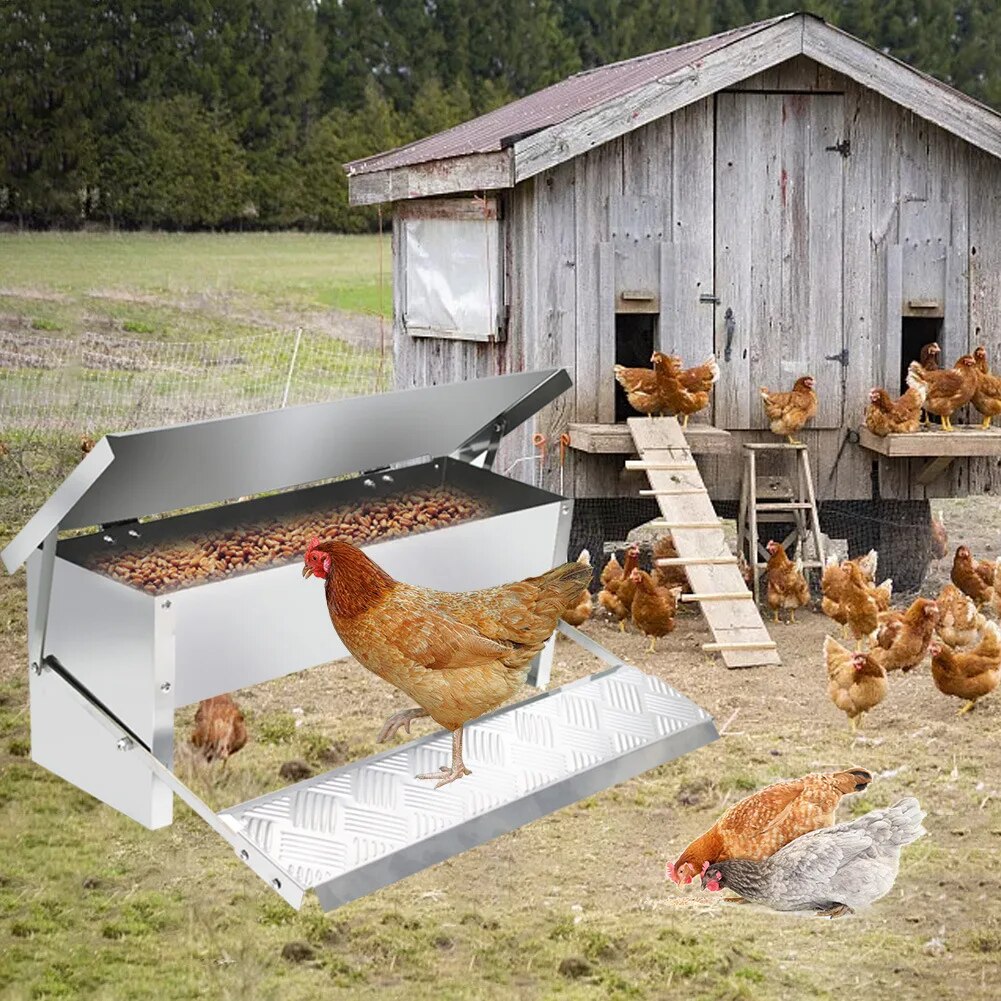 FeedForte™ | Altijd toegang tot vers voer