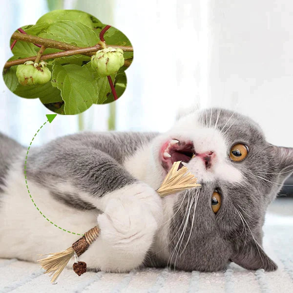 KittyBliss™ | Voor gezonde nagels zonder knippen