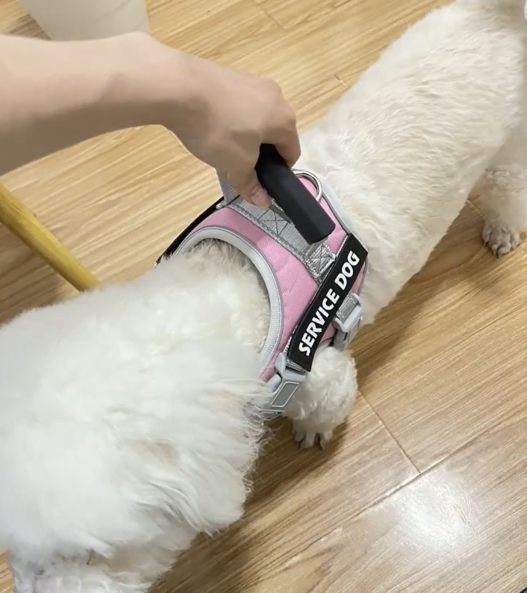 SecurePaws⢠| Riem-Harnas voor HulpHond
