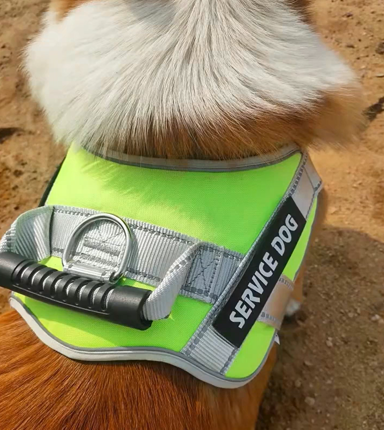 SecurePaws⢠| Riem-Harnas voor HulpHond