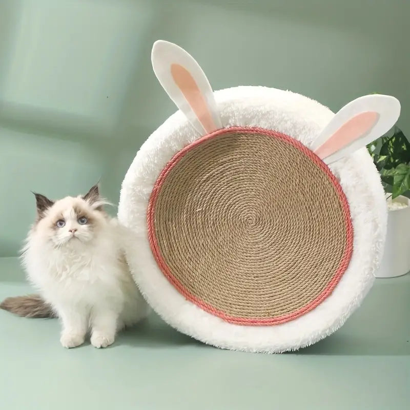 CatCraze™ | Verlicht Stress en Verhoog het Welzijn