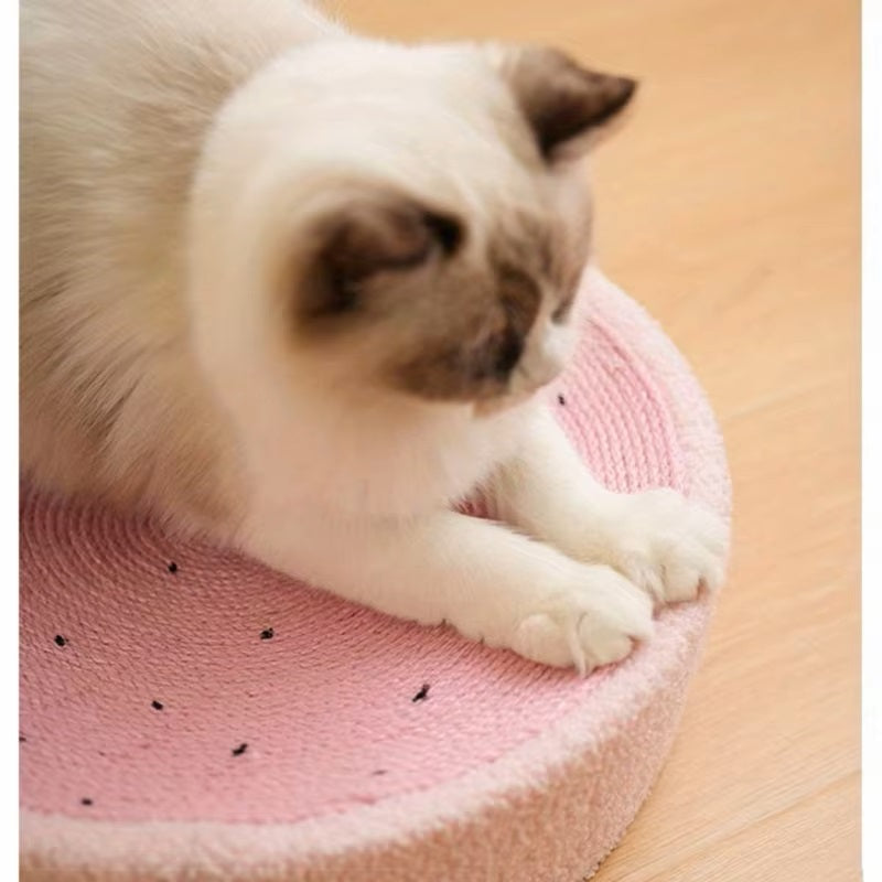 CatCraze™ | Verlicht Stress en Verhoog het Welzijn