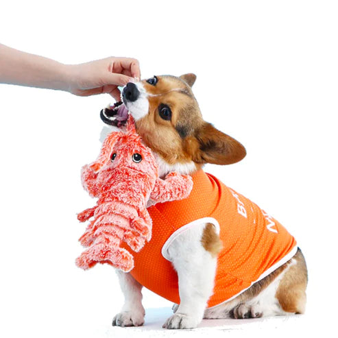 PawLobster™ | Voorkom verveling en houd je hond gelukkig
