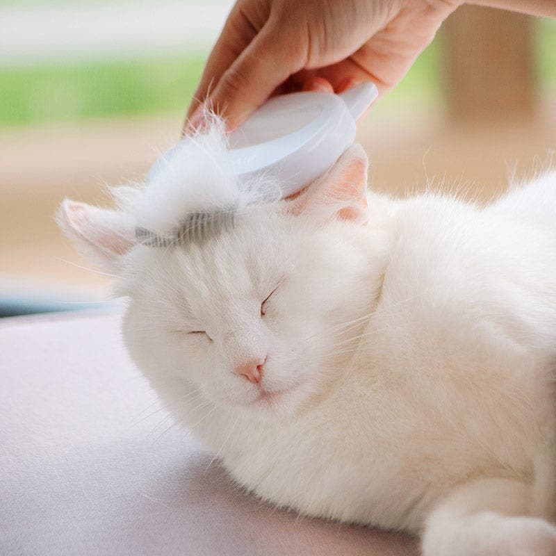 GentlePaws™ | De Ultieme Vachtverzorging