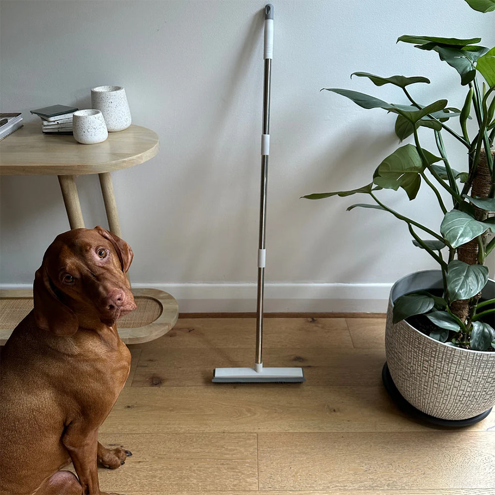 FurWizard™ | Verwijdert Alle Huisdierenharen