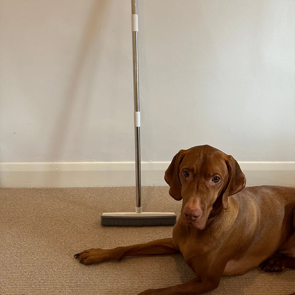 FurWizard™ | Verwijdert Alle Huisdierenharen
