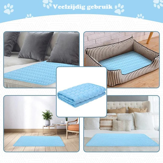 IcyWoof™ | De Beste Zomeroplossing