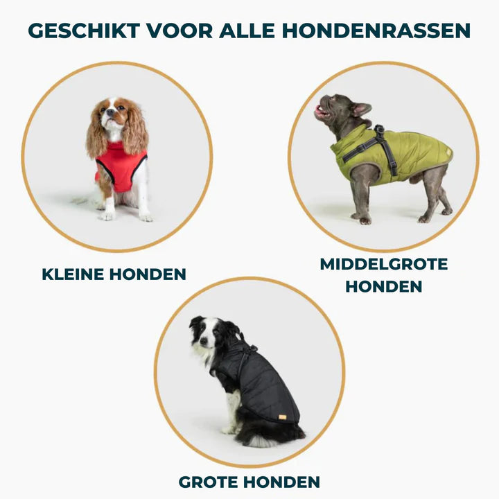 PawsDry™ | Houd Je Hond Warm en Droog