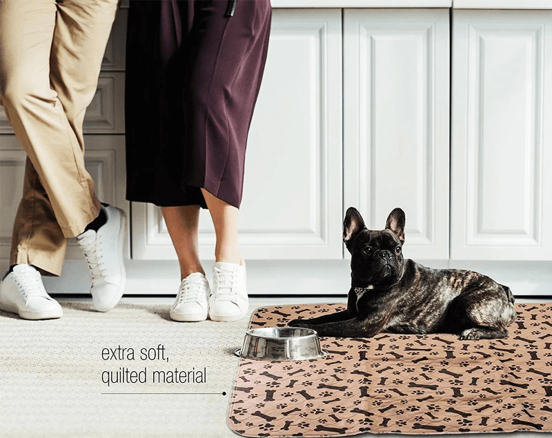 SplashSafe™ | Herbruikbare honden plasmat