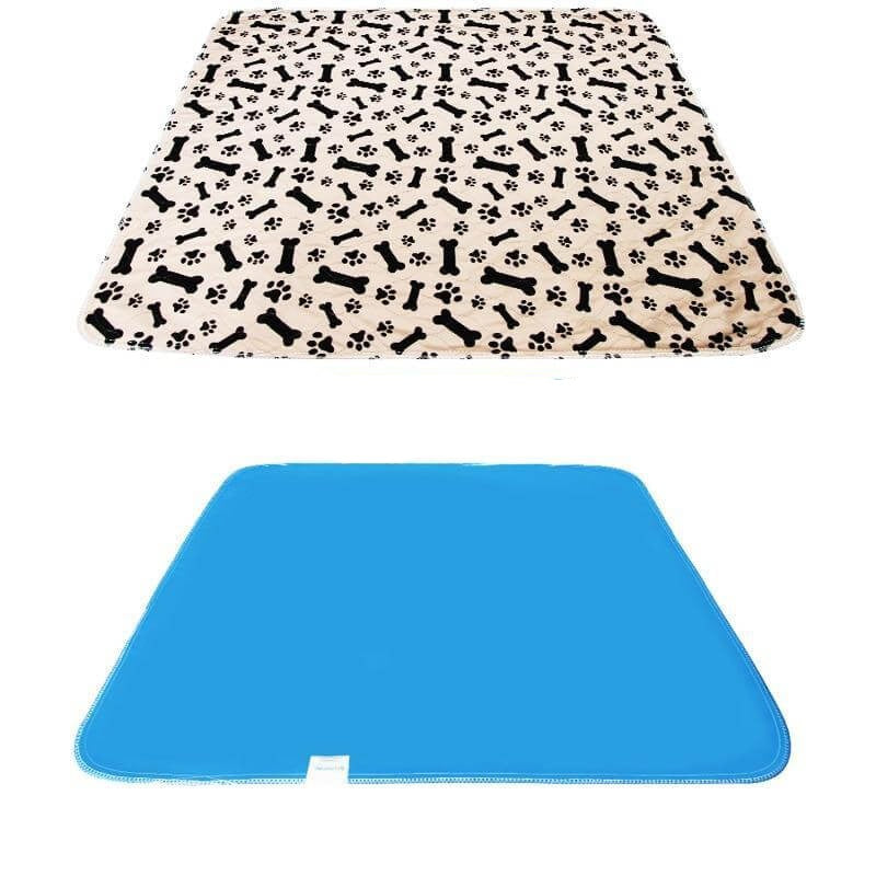 SplashSafe™ | Herbruikbare honden plasmat