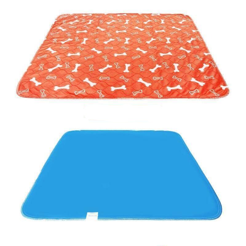 SplashSafe™ | Herbruikbare honden plasmat