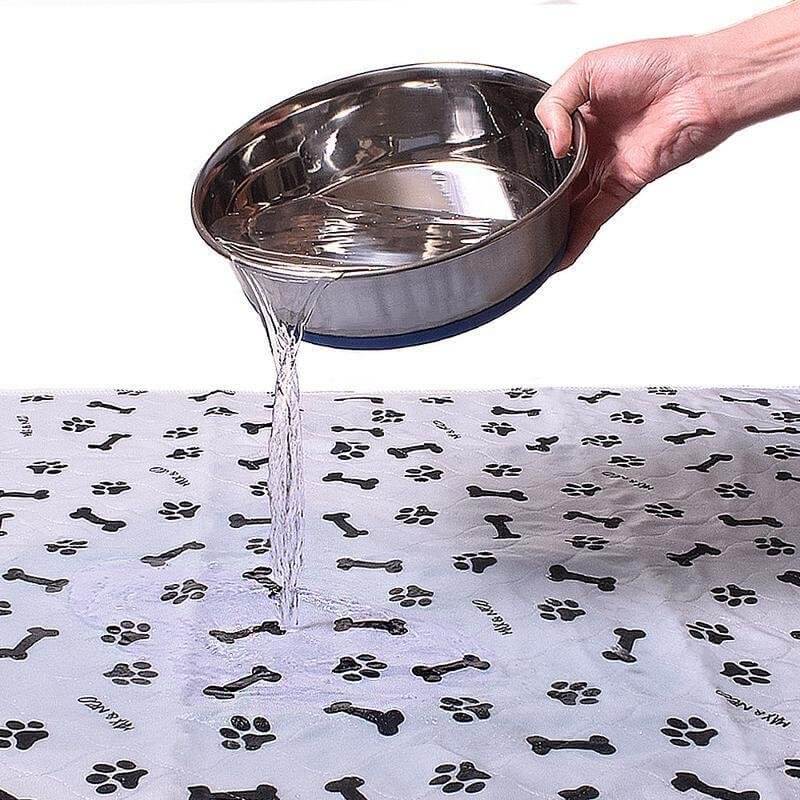 SplashSafe™ | Herbruikbare honden plasmat