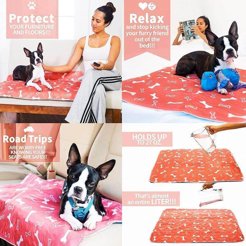 SplashSafe™ | Herbruikbare honden plasmat