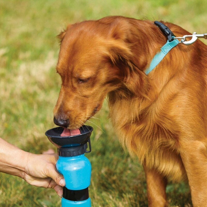 AquaPup™ | Waterfles Voor Huisdieren