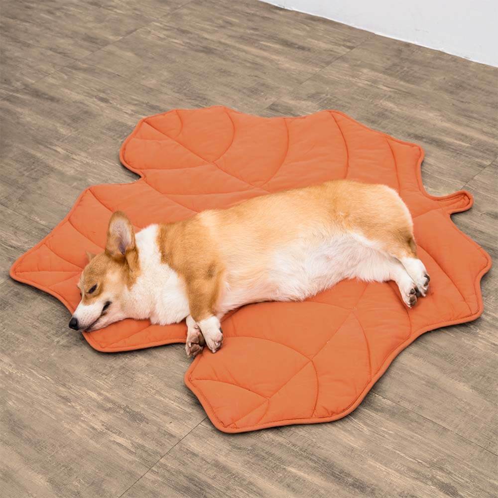 PetLeaf™ | Kalmerende Orthopedische Deken