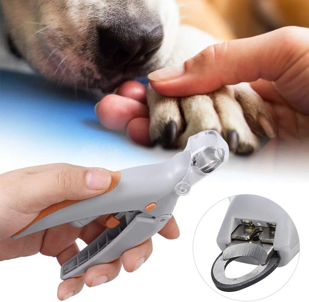 PawPros™ | 2 in 1 - LED Nagelknipper