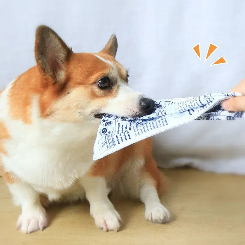 ChewPaper™ | Bijtbestendig Krantenvermaak