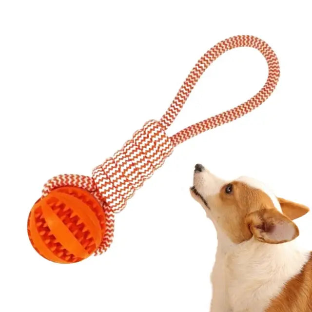 GrinBall™ | Combineert Spelen en Eten