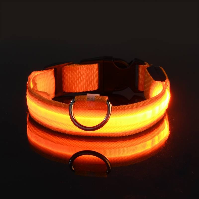 GlowDog™ | Verminder Angst Voor Aanrijdingen