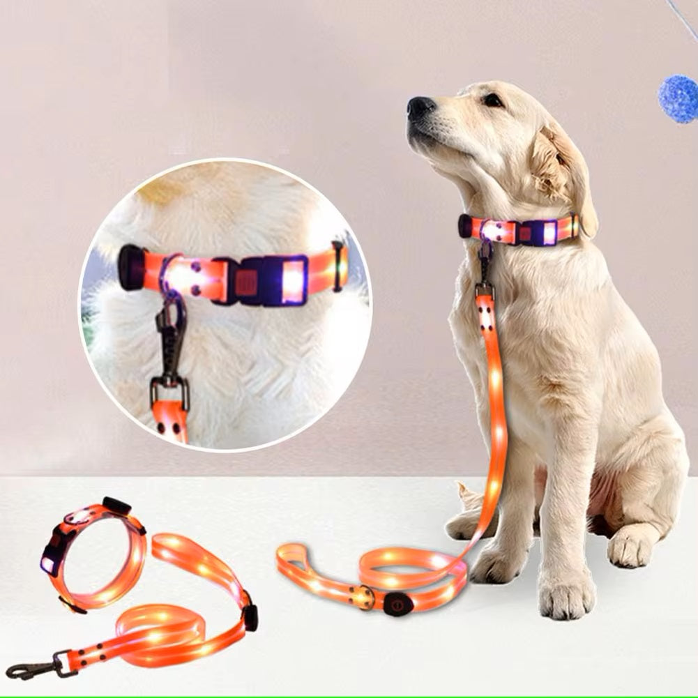 BrightPaw™ | Verlicht Elke Stap Samen