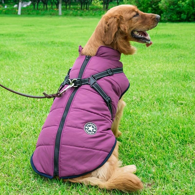 PawsDry™ | Houd Je Hond Warm en Droog