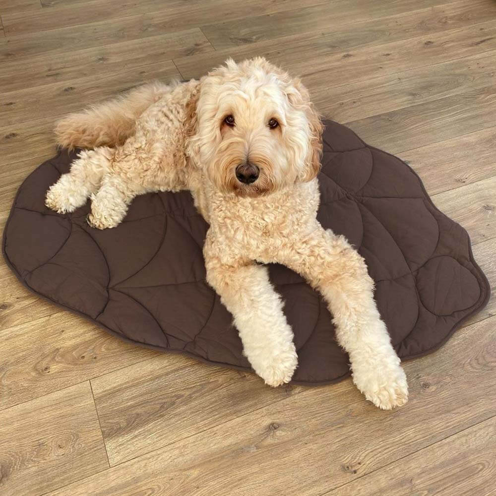 PetLeaf™ | Kalmerende Orthopedische Deken