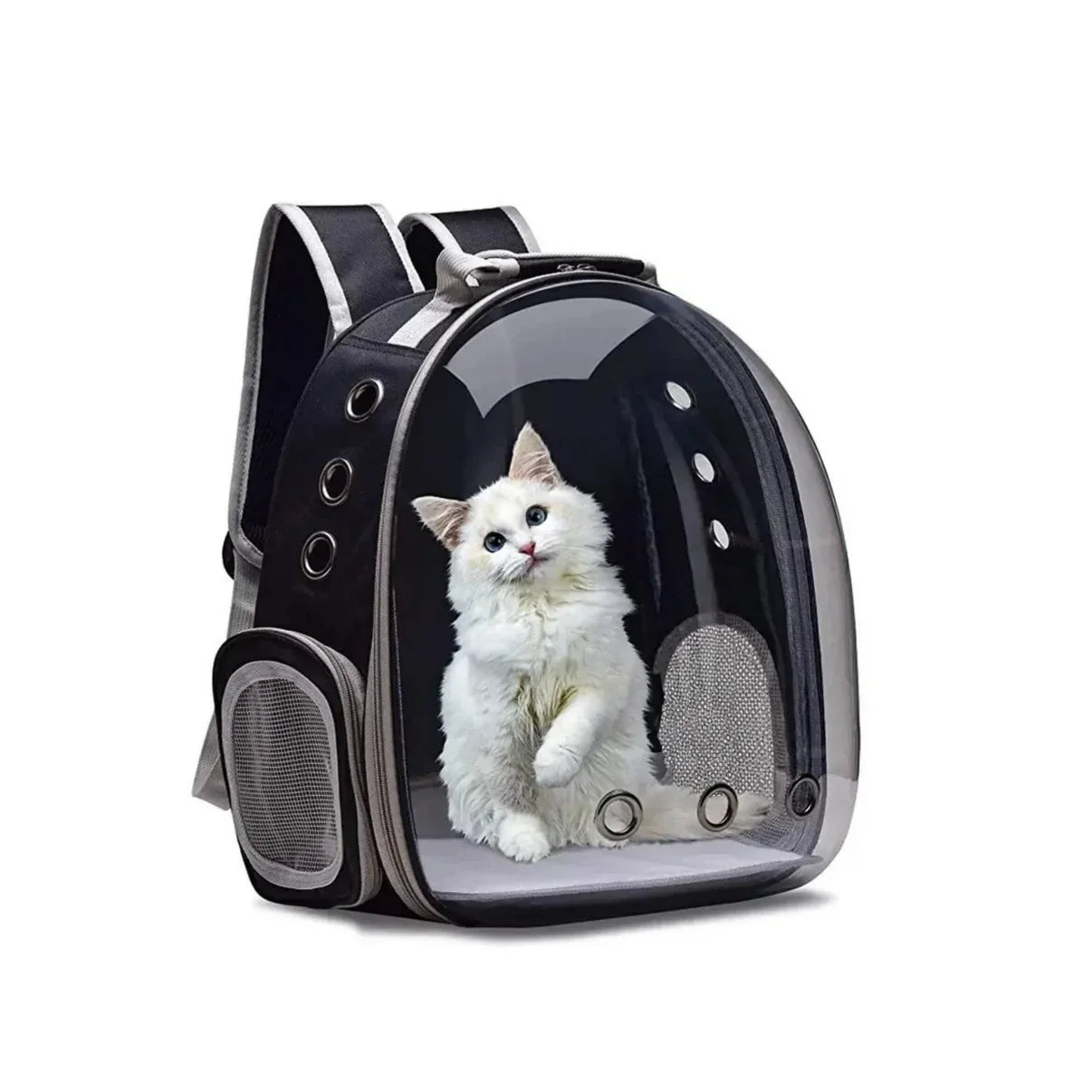 KittyCabin™ | Zorgeloos op Pad