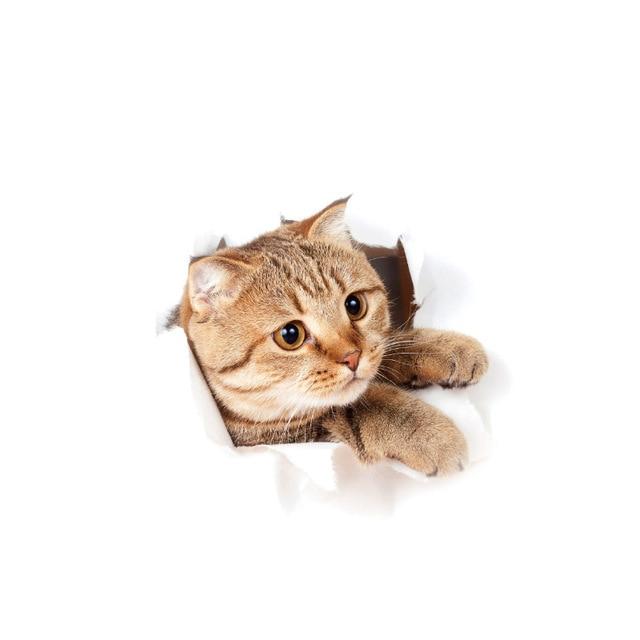 Mewlin™ | Schattige 3D Katten Muurstickers