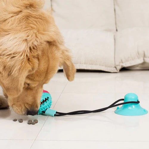 Honden Puzzeltrekker™ | Urenlang vermaak & Voorkomt snel eten