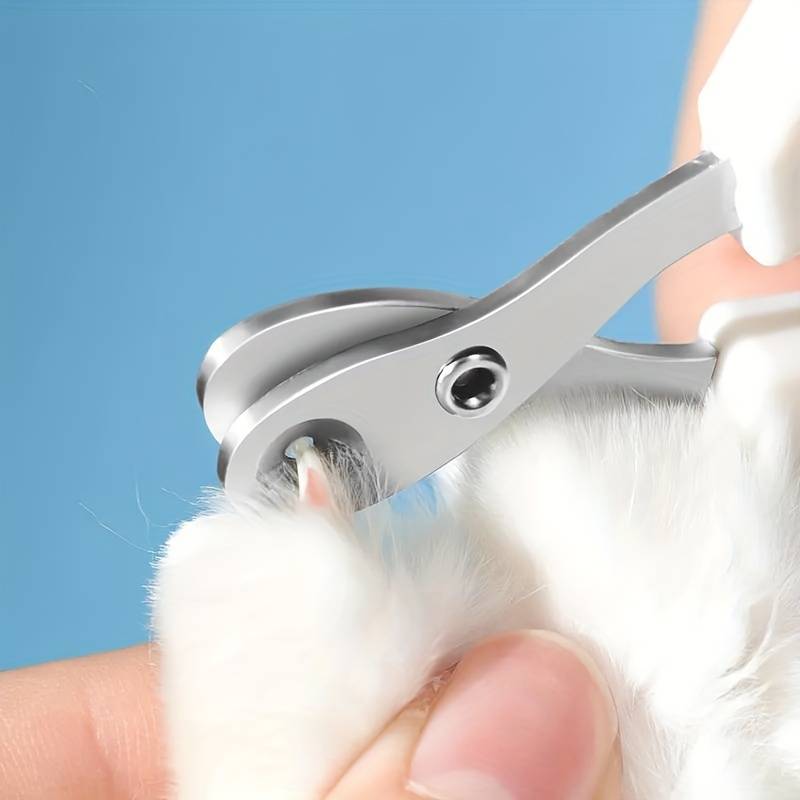 SafeClaw™ | Veilig en stressvrij knippen