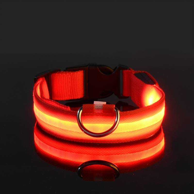 GlowDog™ | Verminder Angst Voor Aanrijdingen