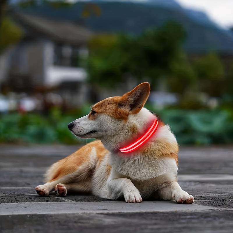 GlowDog™ | Verminder Angst Voor Aanrijdingen