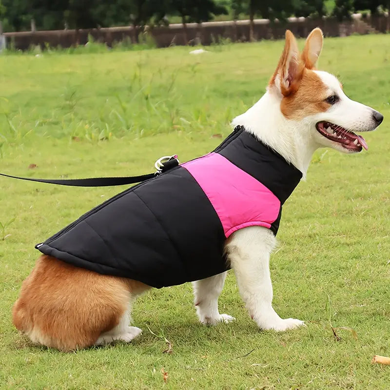 CoatPals™ | Nooit meer stress om regen en kou