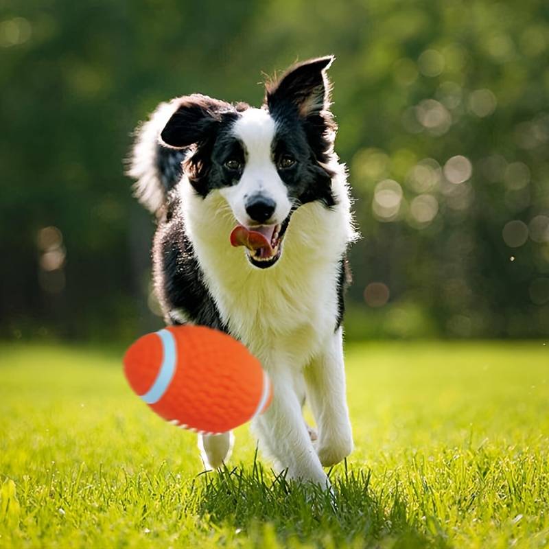 BiteBlitz™ | kauwspeeltje voor honden