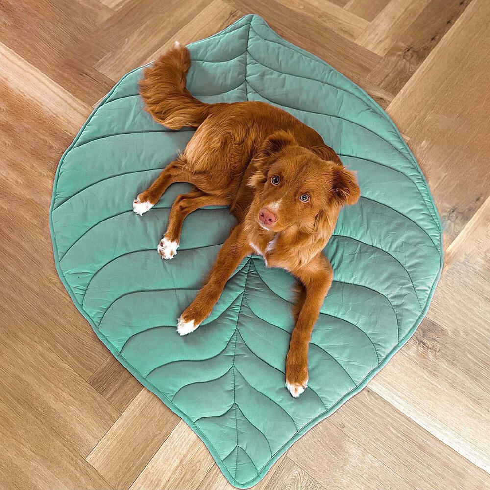 PetLeaf™ | Kalmerende Orthopedische Deken