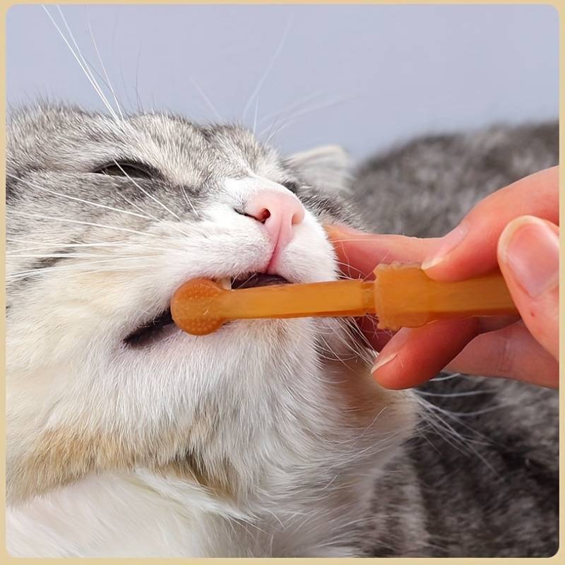 SmilePup™ | Voor de Ultieme Tandverzorging