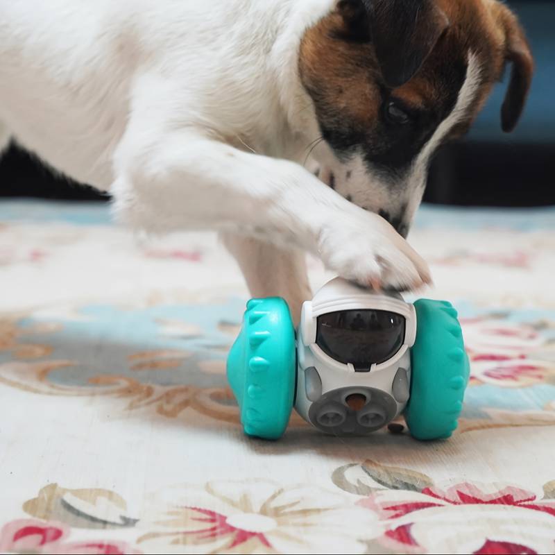 SnackPup™ | Voorkom Stress en Bevorder Langzaam Eten