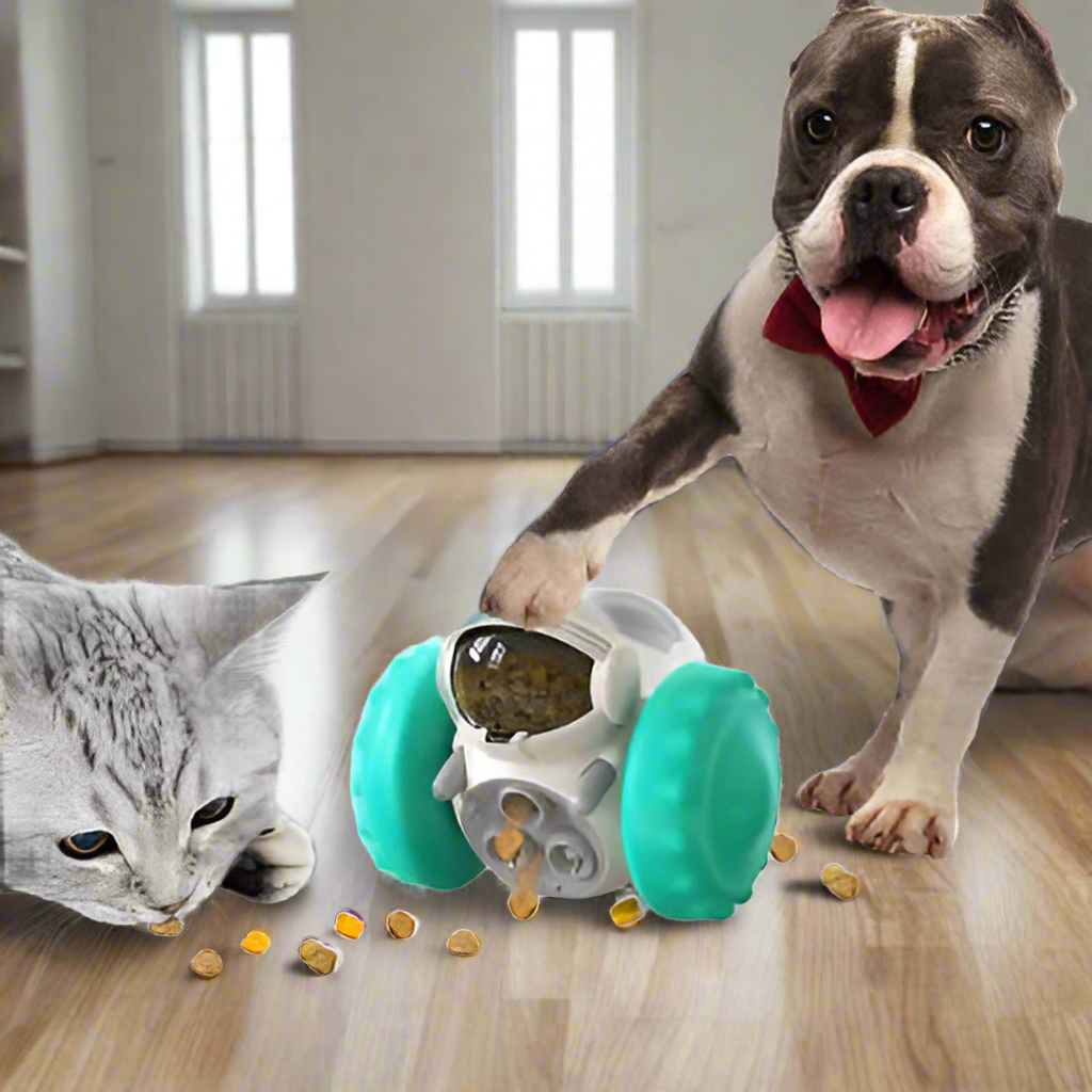 SnackPup™ | Voorkom Stress en Bevorder Langzaam Eten