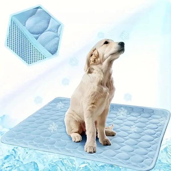 IcyWoof™ | De Beste Zomeroplossing