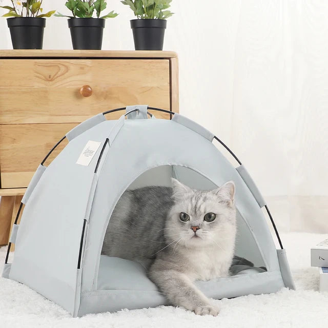 PawsPine™ | Stressverlichting en Comfort in één