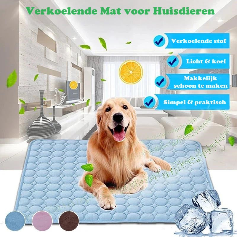 IcyWoof™ | De Beste Zomeroplossing